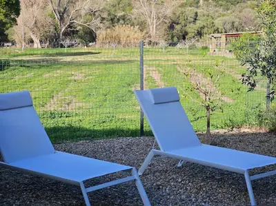 Jardin de l'établissement Suite Mare Vista by Monarca