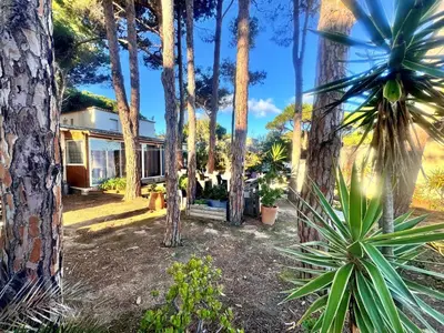 Jardin de l'établissement T3 Les pieds dans l'eau