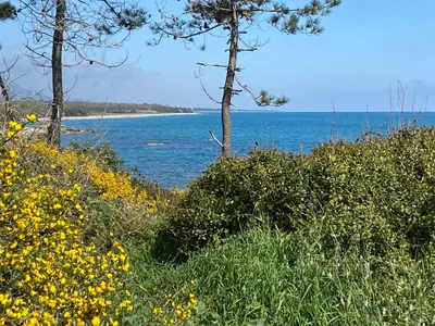 Paysage naturel près de l'appartement