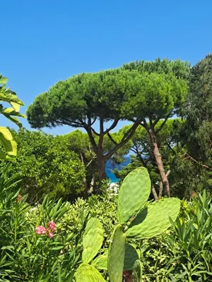 Paysage naturel près de la maison de vacances