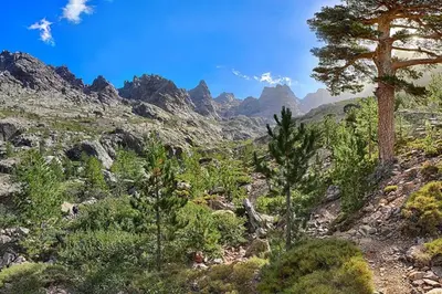Paysage naturel près de l'appartement