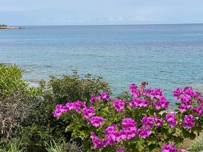 Paysage naturel près de la maison de vacances