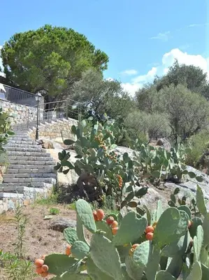Jardin de l'établissement Duplex vue mer - Ile Rousse