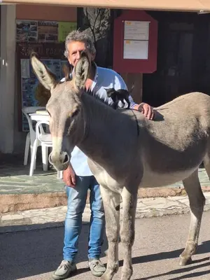 Animaux dans l'hôtel ou à proximité