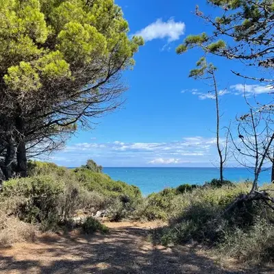 Appartement T3 en Corse