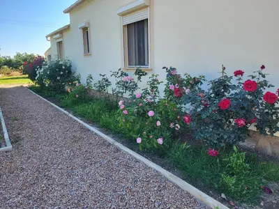 Jardin de l'établissement Maison jumelée clôturée
