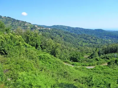 Paysage naturel près de la maison de vacances