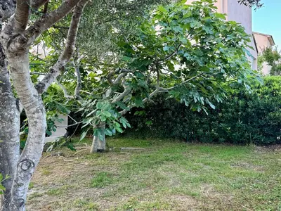 Jardin de l'établissement Evasion de rêve à Casa Nina