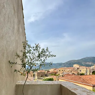 Paysage naturel près de la maison d'hôtes