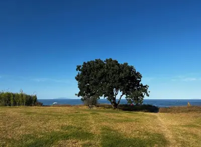 Paysage naturel près de la maison de vacances