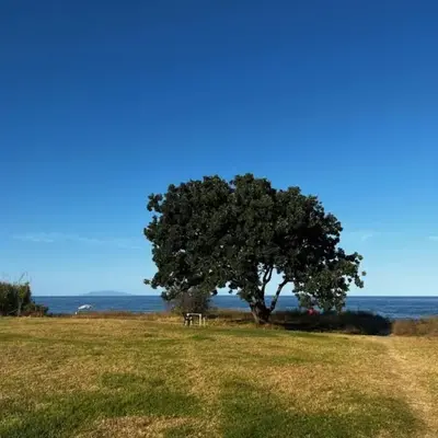 Maison a la plage