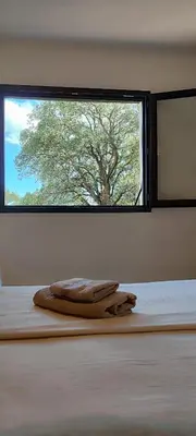Plan de l'établissement Casa di Cortanni
