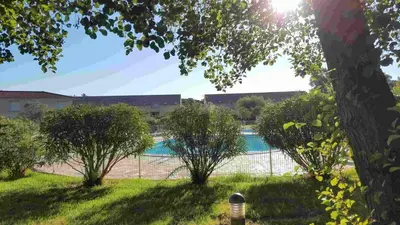 Piscine de l'établissement Corse villa T3 piscine ou située à proximité