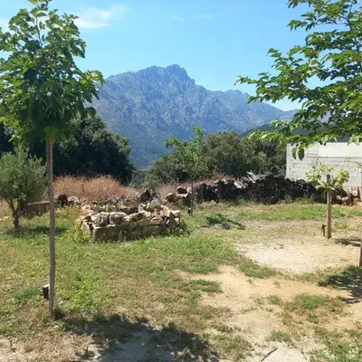 maison de vacances olmi cappella Corse