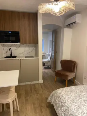 Cuisine ou kitchenette dans l'établissement Charmant studio hyper centre