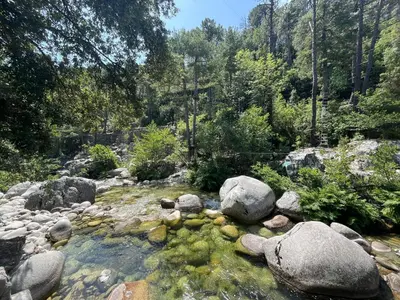 Paysage naturel près de l'appartement
