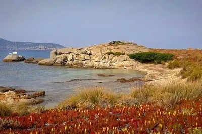 Paysage naturel près de l'appartement