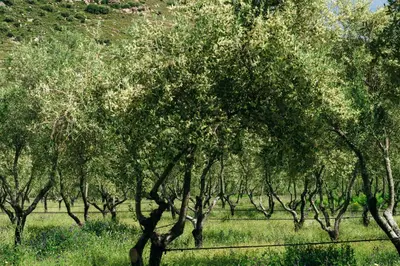 Paysage naturel près de l'hôtel