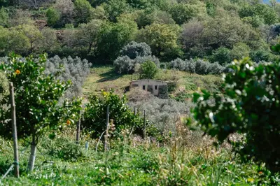 Paysage naturel près de l'hôtel