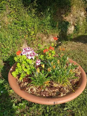 Jardin de l'établissement A casettuccia santu petru