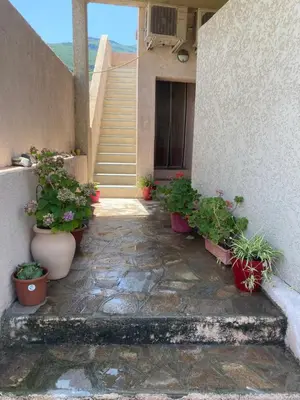 Plan de l'établissement Maison de Léon