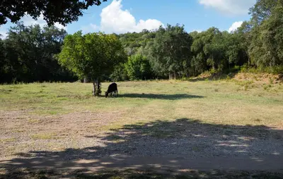 Paysage naturel près de la maison de vacances