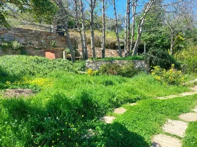 Jardin de l'établissement Studio terrasse climatisé VUE MER avec parking
