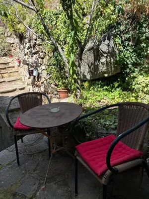 Jardin de l'établissement Appartement maison de village à Ota-Porto
