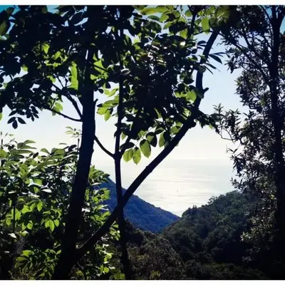 Sans Murs Dans la Nature
