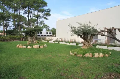 Jardin de l'établissement Résidence Isola Hotel
