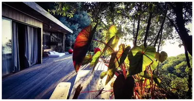 Jardin de l'établissement Stunning Cabin in Splendid Surroundings Cap Corse