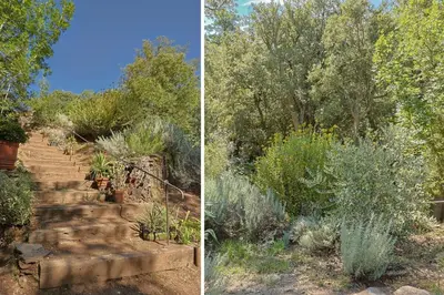 Jardin de l'établissement Villa Canapaggio