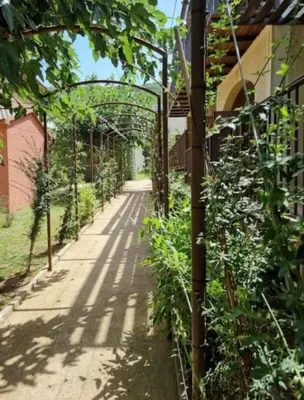 Jardin de l'établissement Soleil, Piscine, Parking et Bienvenue à Sisco