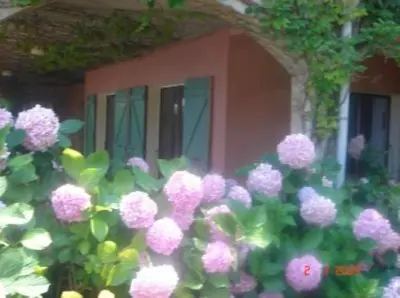 Jardin de l'établissement Maison moderne avec vue sur la mer à San-Martino-di-Lota