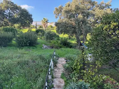 Jardin de l'établissement Studio Les arbousiers