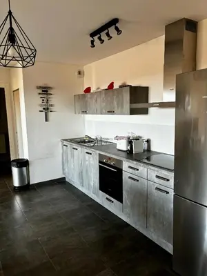 Cuisine ou kitchenette dans l'établissement Appartement Rossignol