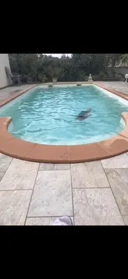 Piscine de l'établissement Appartement Oriana ou située à proximité
