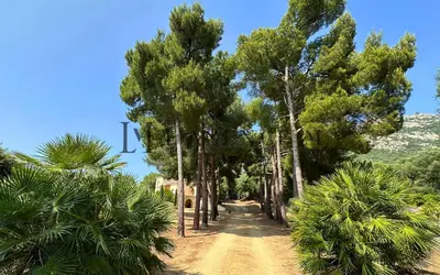 Paysage naturel près de la maison de vacances