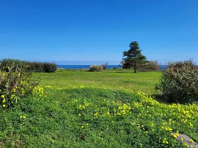 Paysage naturel près de la maison de vacances
