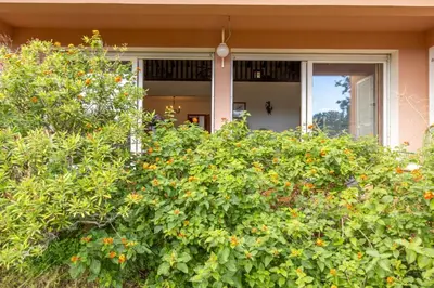 Jardin de l'établissement Villa Josiane