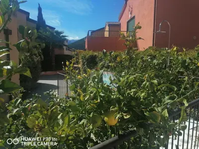 Jardin de l'établissement Les Terrasses de LOZARI de Nadine et Claude