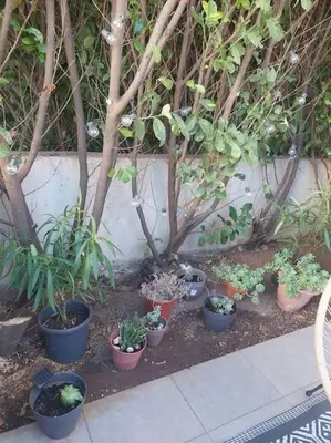 Jardin de l'établissement Namastĕ