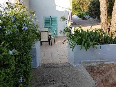 Jardin de l'établissement Casa Prescilia