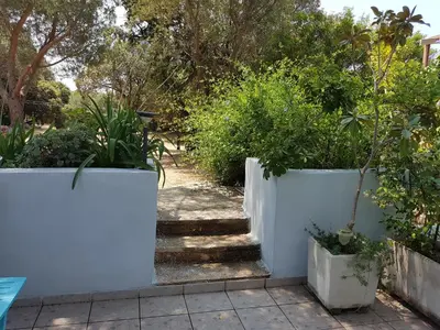 Jardin de l'établissement Casa Prescilia