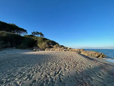Paysage naturel près de l'appartement