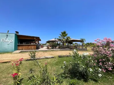 Jardin de l'établissement Appartement cosy avec wifi en bord de mer