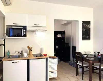 Cuisine ou kitchenette dans l'établissement Studio climatisé avec piscine à ST FLORENT