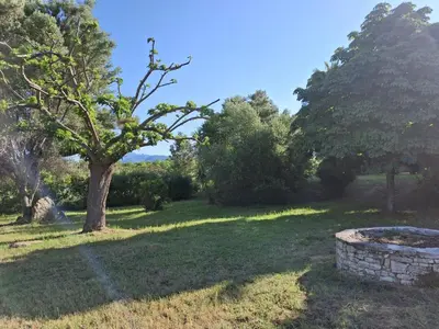 Paysage naturel près de l'appartement