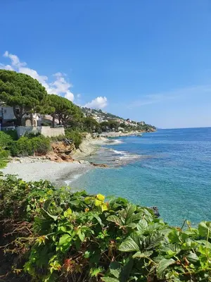 Paysage naturel près de l'appartement