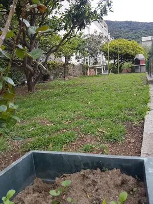Jardin de l'établissement Appartement vue mer, pietranera